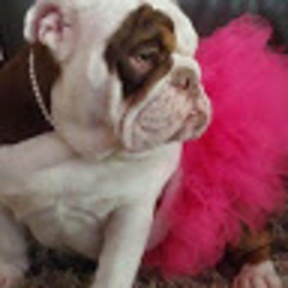 Meet your Posher, Nadia - Picture 1 of 1